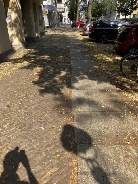 Gehweg mit Granitplatten und Kleinpflaster, Pestalozzistraße 23.