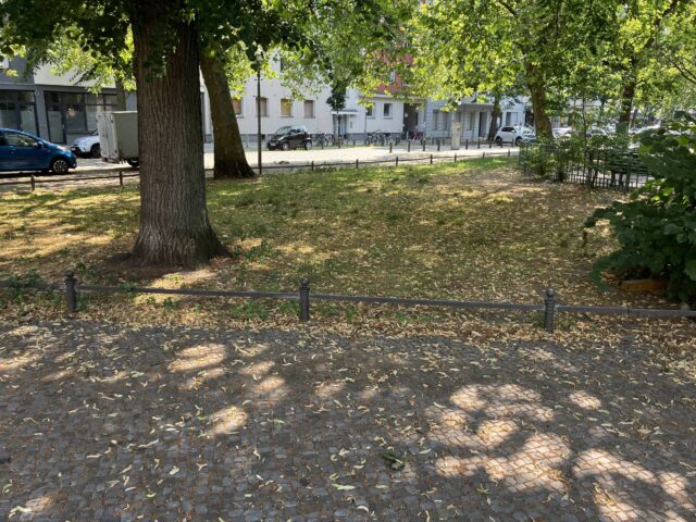 Wiese im Schatten.